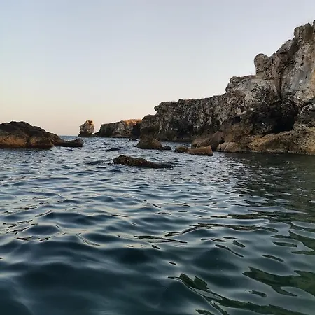 бунгало парк Summer Life Maison d'hôtes Tyulenovo